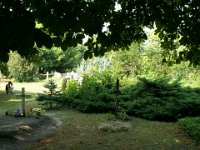 1944-45 kivégzett katonák emléke